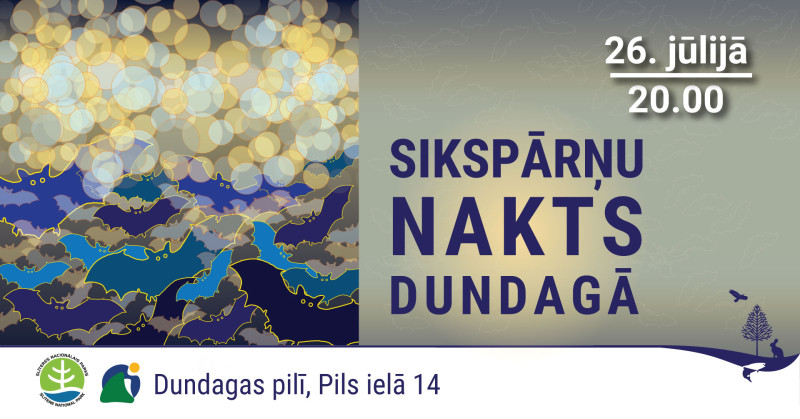 Bat Night in Dundaga 2025