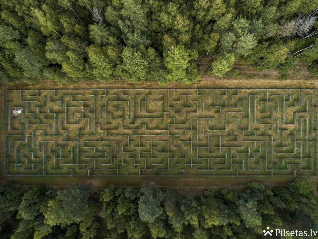 Mežvidu labirints