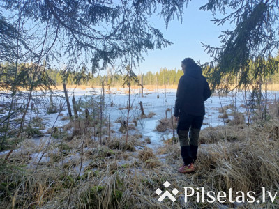 Mežs kā piedzīvojums