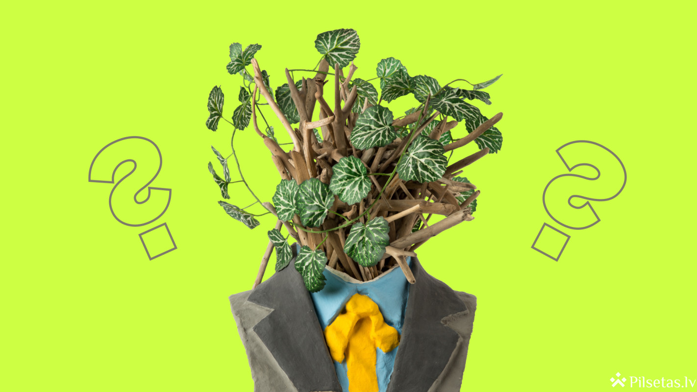 Mākslas viktorīna "Zuzeum".