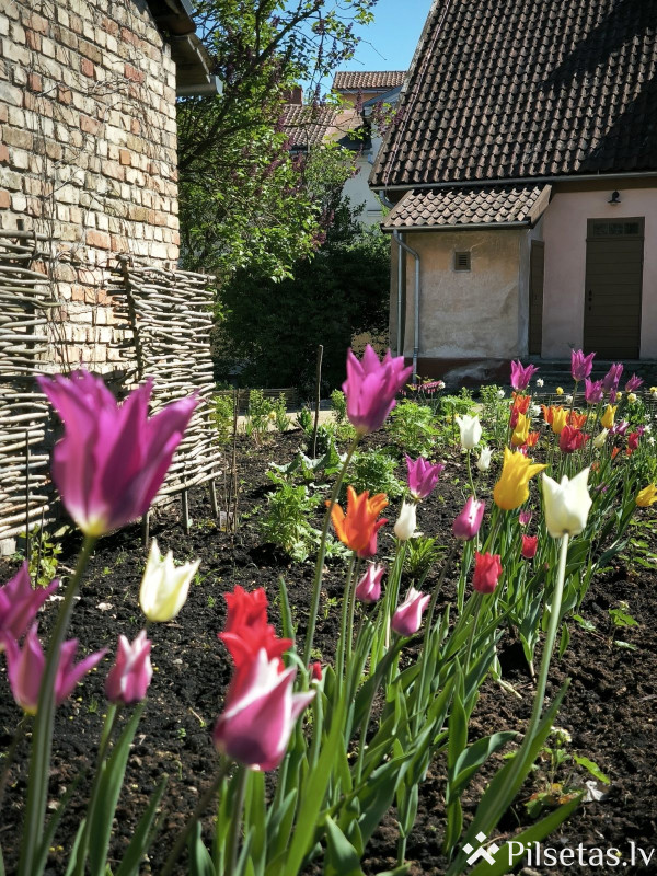 Old Town Garden Season Opening in Kuldīga 2025