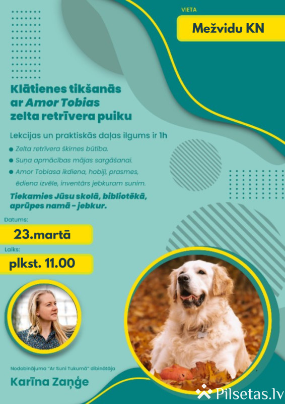 Tik&scaron;anās ar Amor Tobias zelta retrīvera puiku