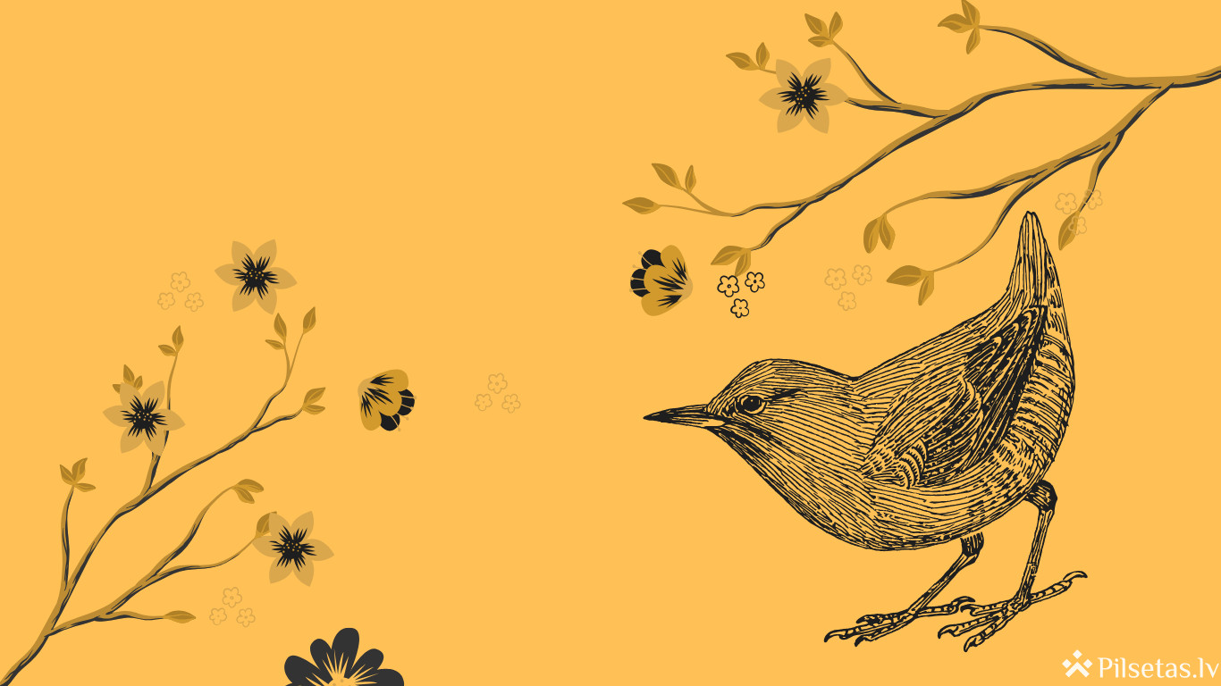 Birds See Us