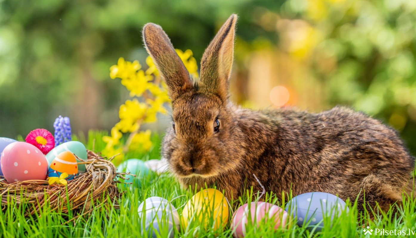 Otrās Lieldienas ar lielo leļļu izrādi "Kas par desām?"