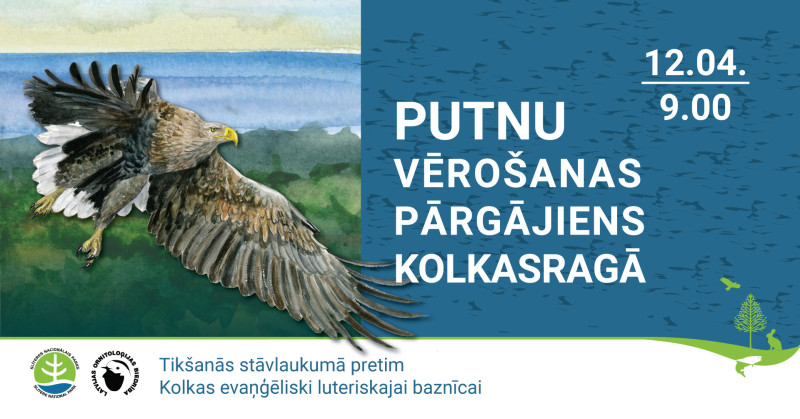 Putnu vēro&scaron;anas pārgājiens Kolkasragā