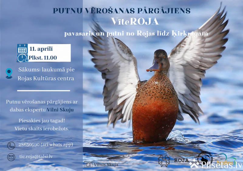 Putnu vēro&scaron;anas pārgājiens VīteROJA